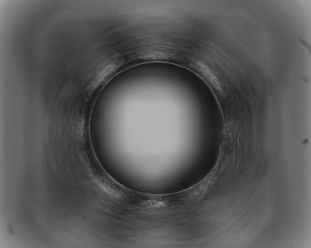 X0000091880159200709121420