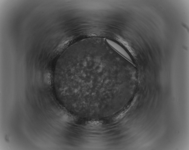 X0000091880161200709121420