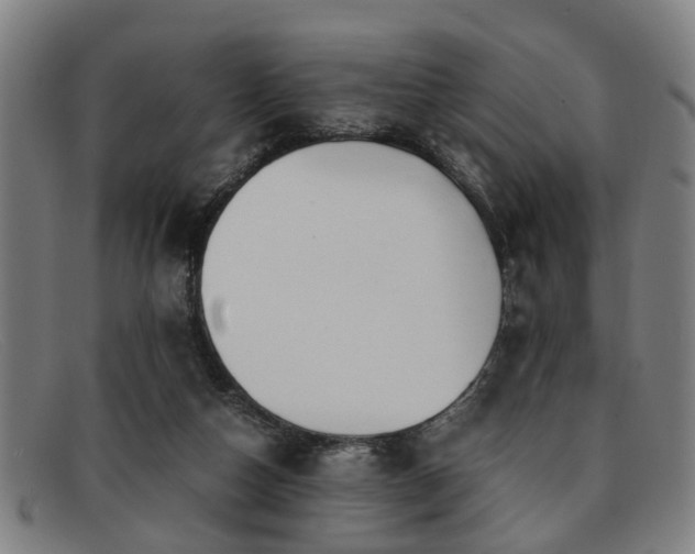 X0000091880162200709121420