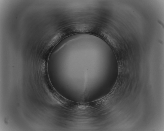 X0000091880163200709121420