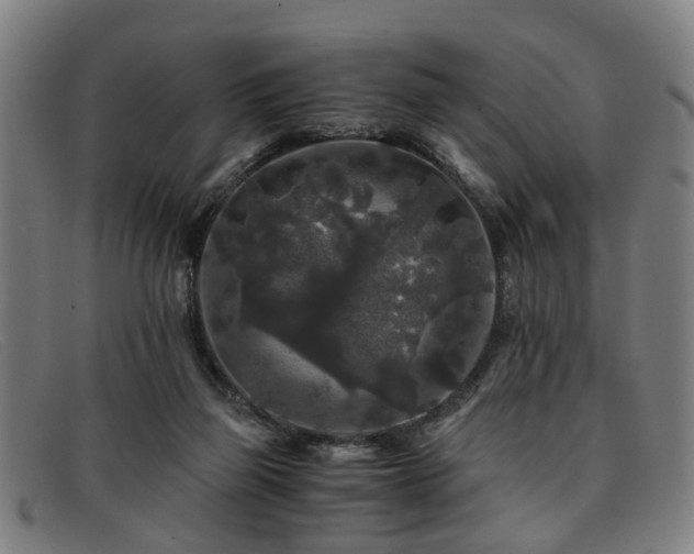 X0000091880165200709121420