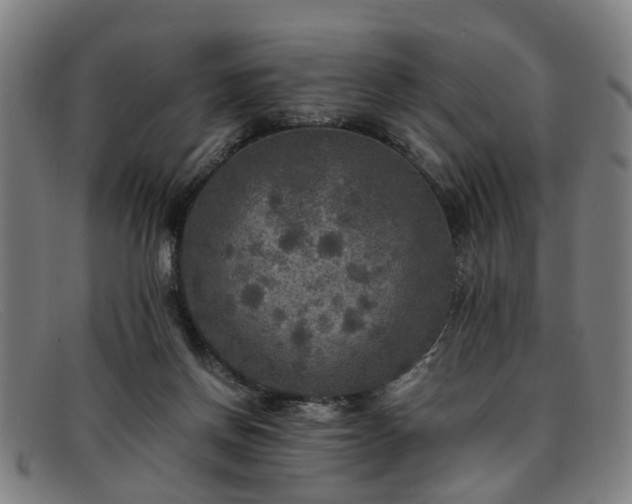 X0000091880166200709121420