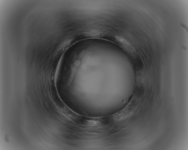 X0000091880167200709121420