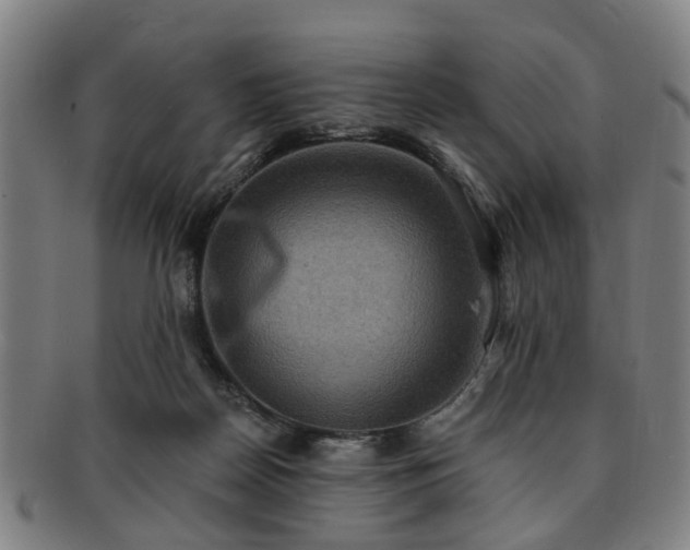 X0000091880170200709121420