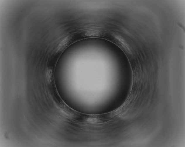 X0000091880171200709121420