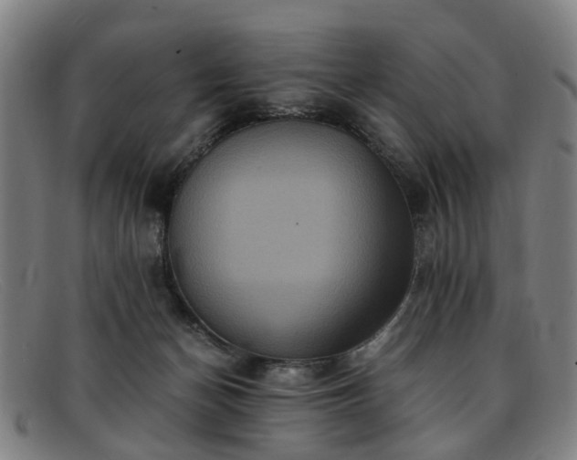 X0000091880174200709121420