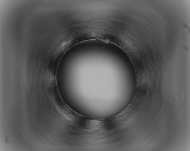 X0000091880176200709121420