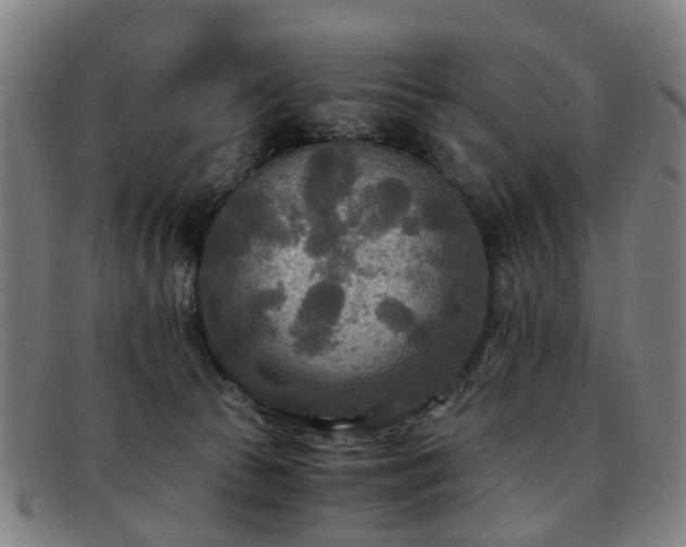 X0000091880177200709121420