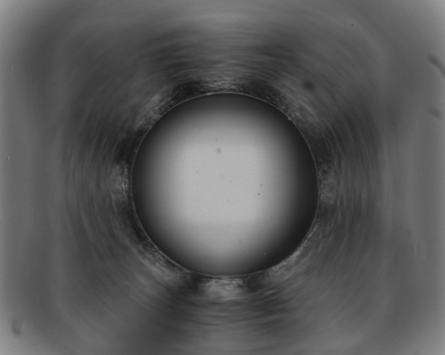 X0000091880179200709121420