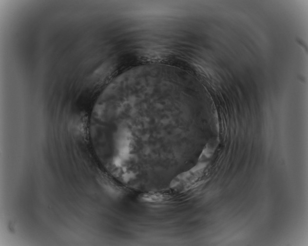 X0000091880181200709121420