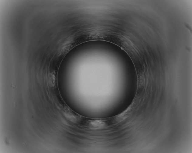 X0000091880183200709121420