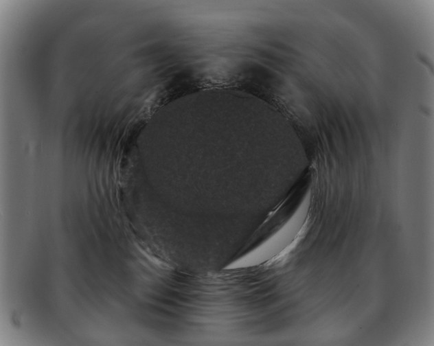 X0000091880186200709121420