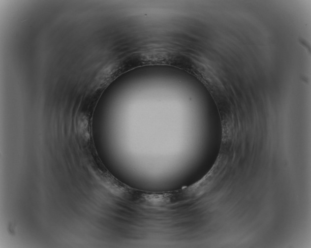 X0000091880187200709121420