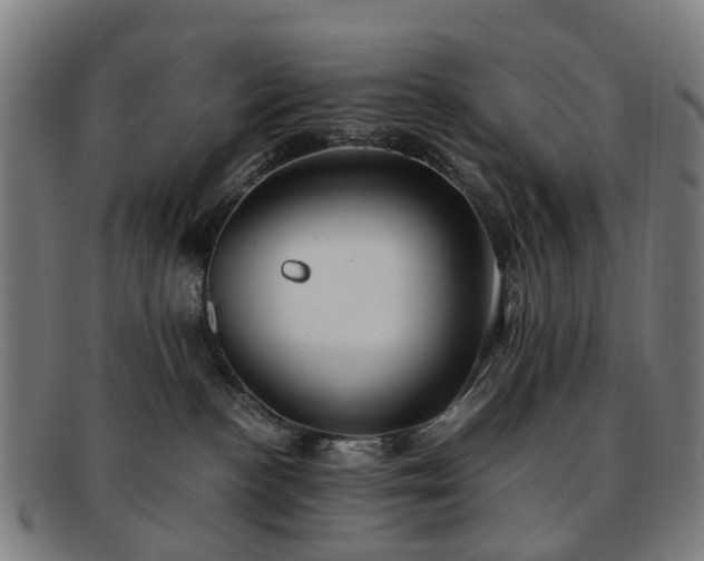 X0000091880188200709121420