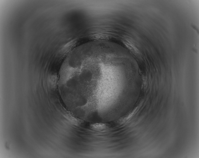 X0000091880189200709121420