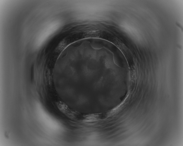 X0000091880191200709121420