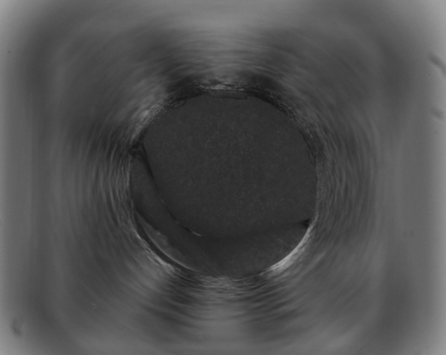 X0000091880192200709121420