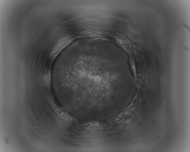 X0000091880194200709121420