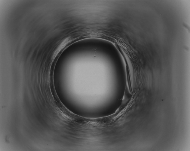 X0000091880195200709121420