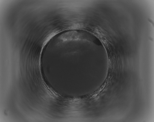 X0000091880196200709121420