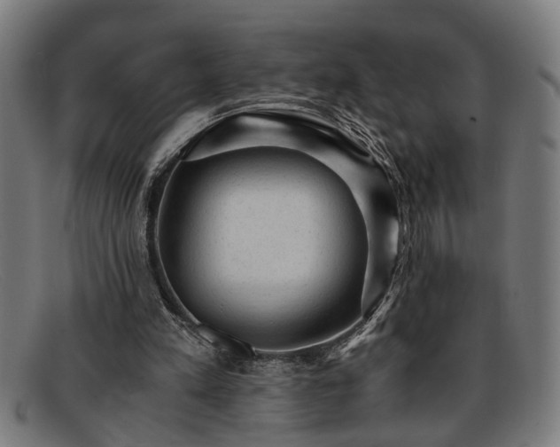 X0000091880197200709121420