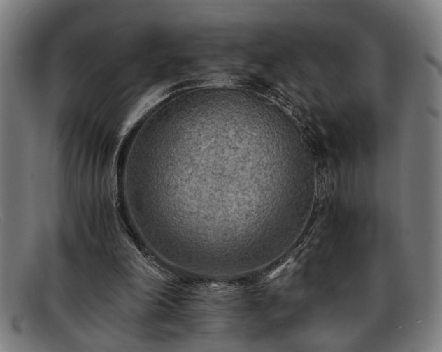 X0000091880198200709121419