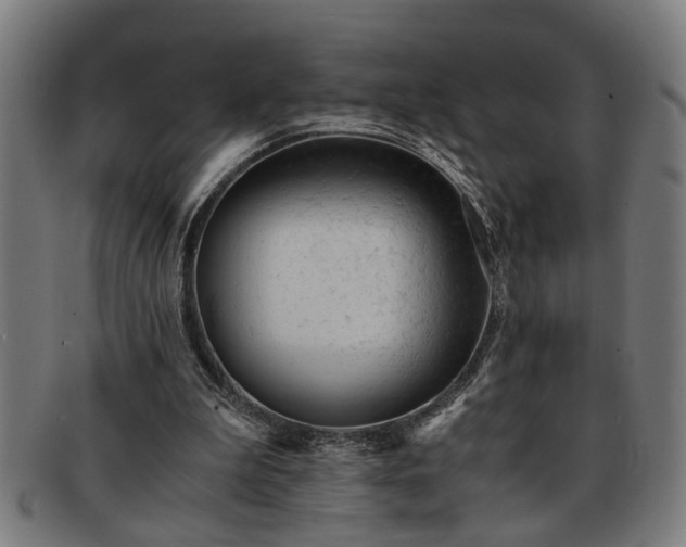 X0000091880199200709121419