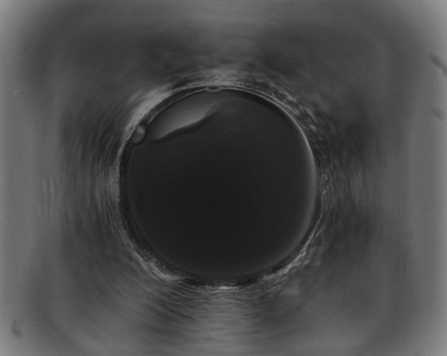 X0000091880200200709121419