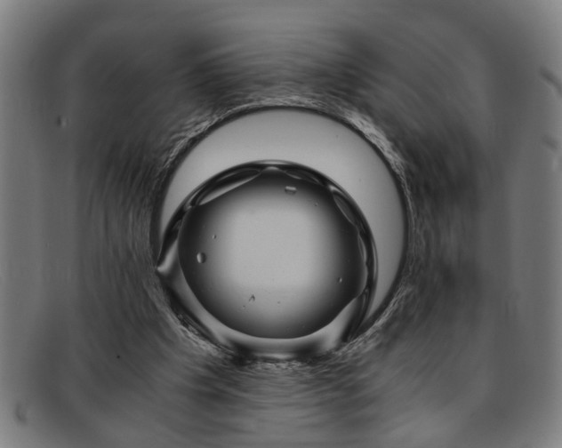 X0000091880201200709121419