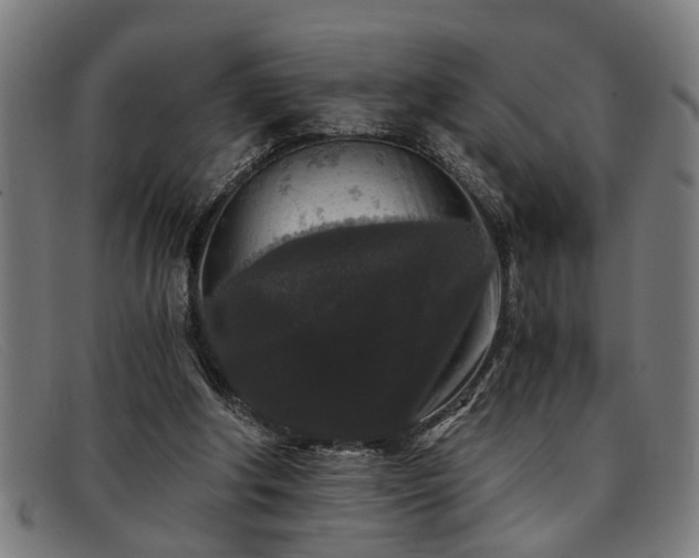 X0000091880202200709121419