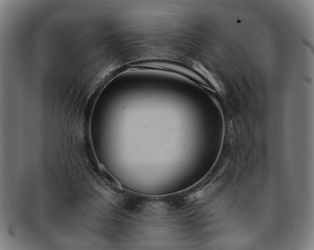 X0000091880203200709121419