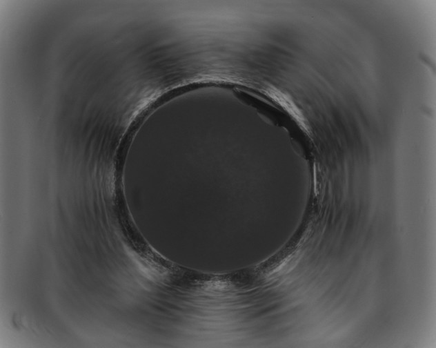 X0000091880204200709121419