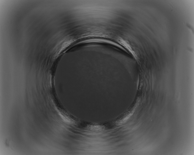 X0000091880205200709121419