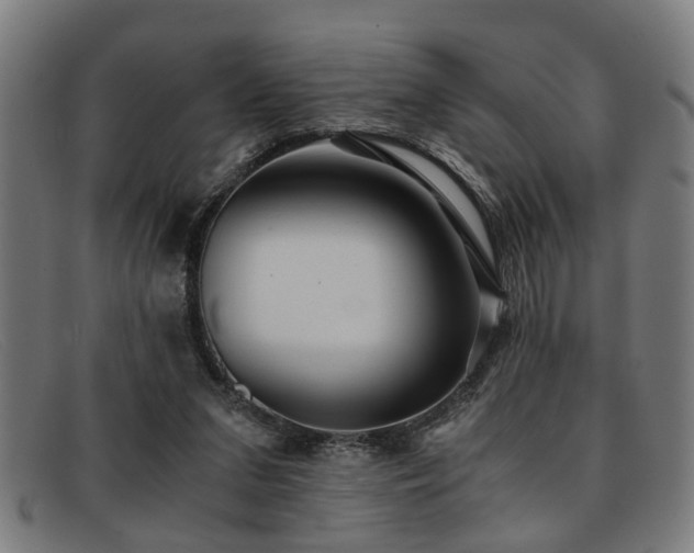 X0000091880207200709121419