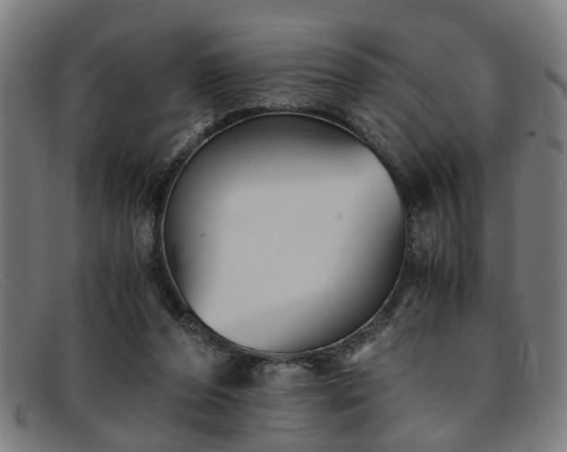 X0000091880208200709121419