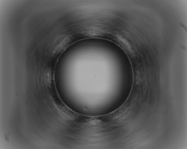 X0000091880210200709121419