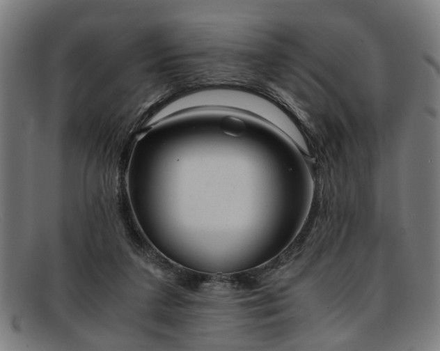 X0000091880211200709121419