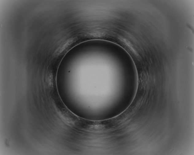 X0000091880212200709121419