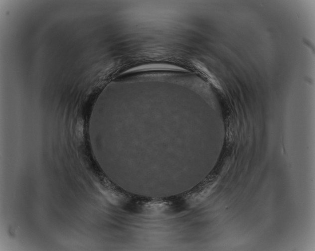 X0000091880213200709121419