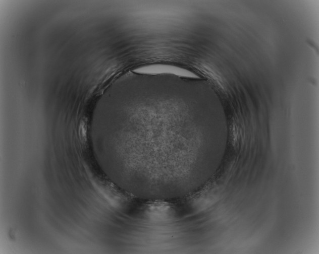 X0000091880214200709121419