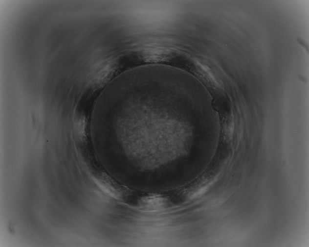 X0000091880219200709121419