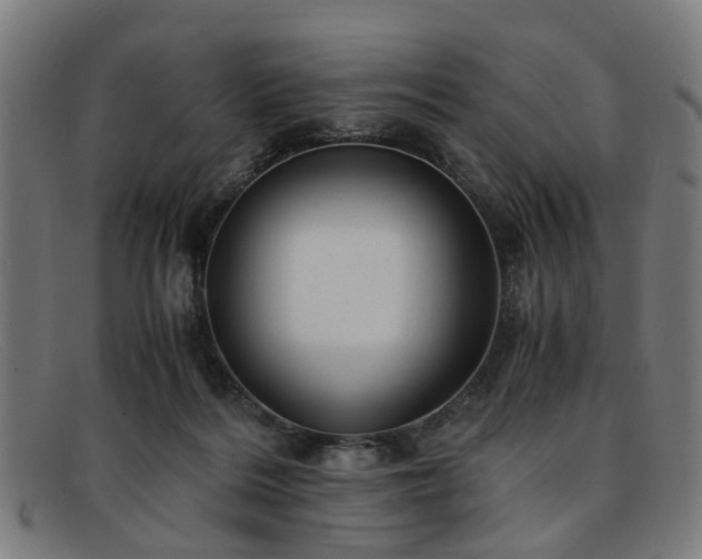 X0000091880220200709121419