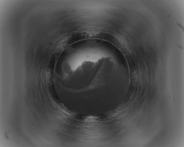 X0000091880222200709121419