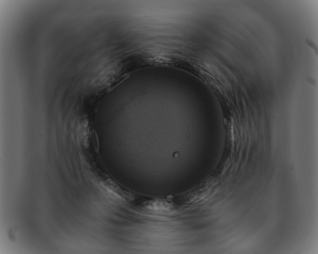 X0000091880223200709121419