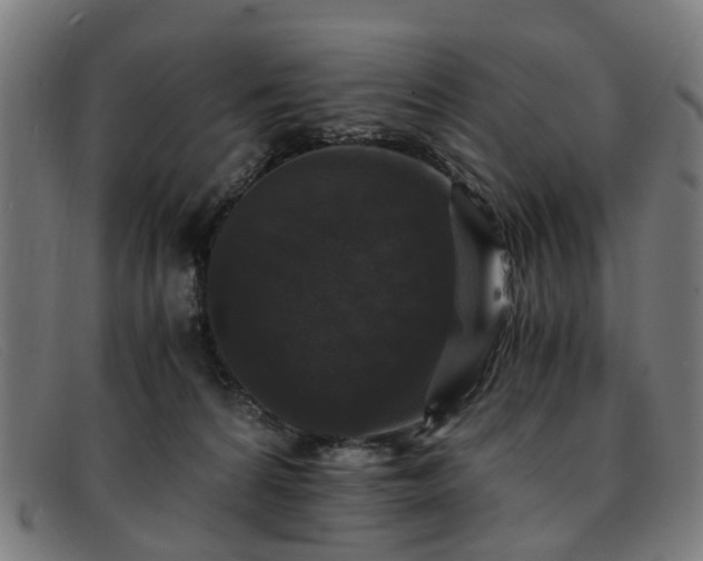 X0000091880224200709121419