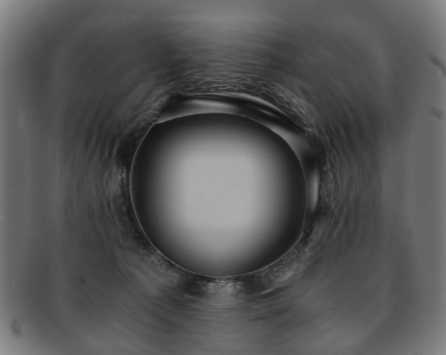 X0000091880225200709121419