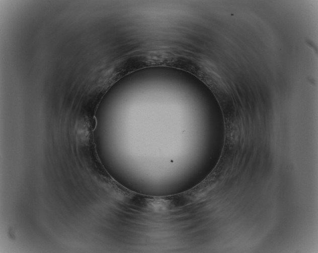 X0000091880226200709121419