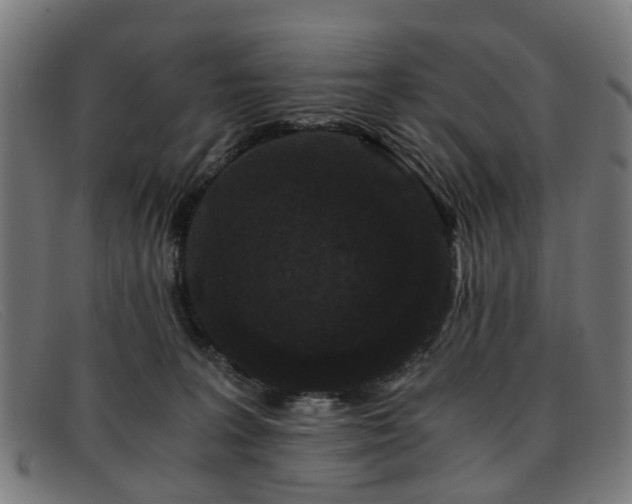 X0000091880227200709121419