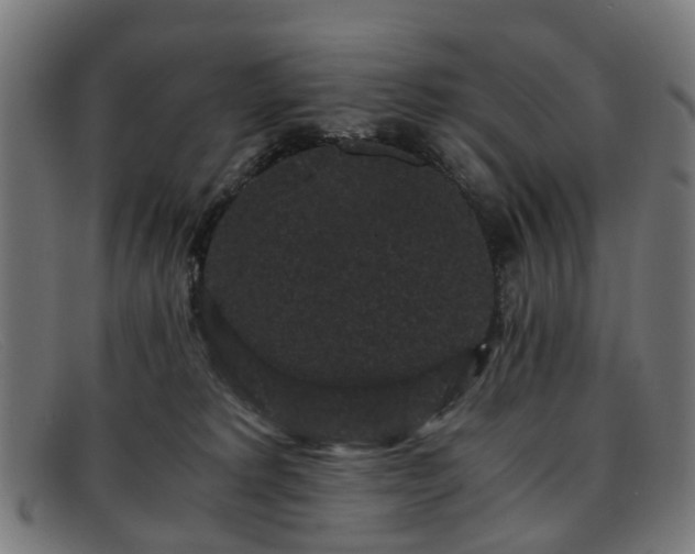 X0000091880229200709121419