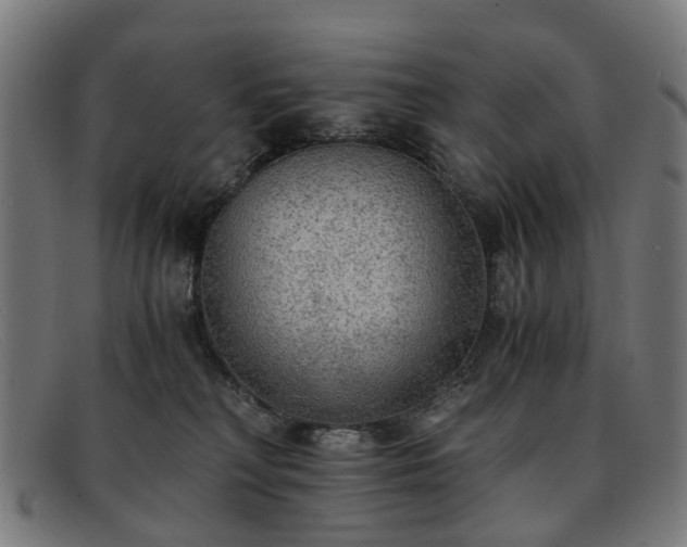 X0000091880230200709121419